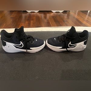 Nike Lebron Witness 6